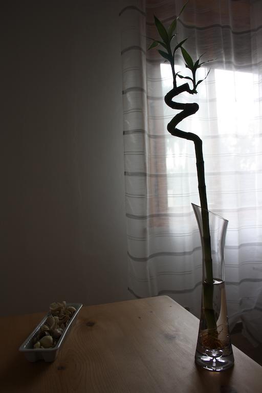 I Due Orfici Bed & Breakfast Cona  ภายนอก รูปภาพ